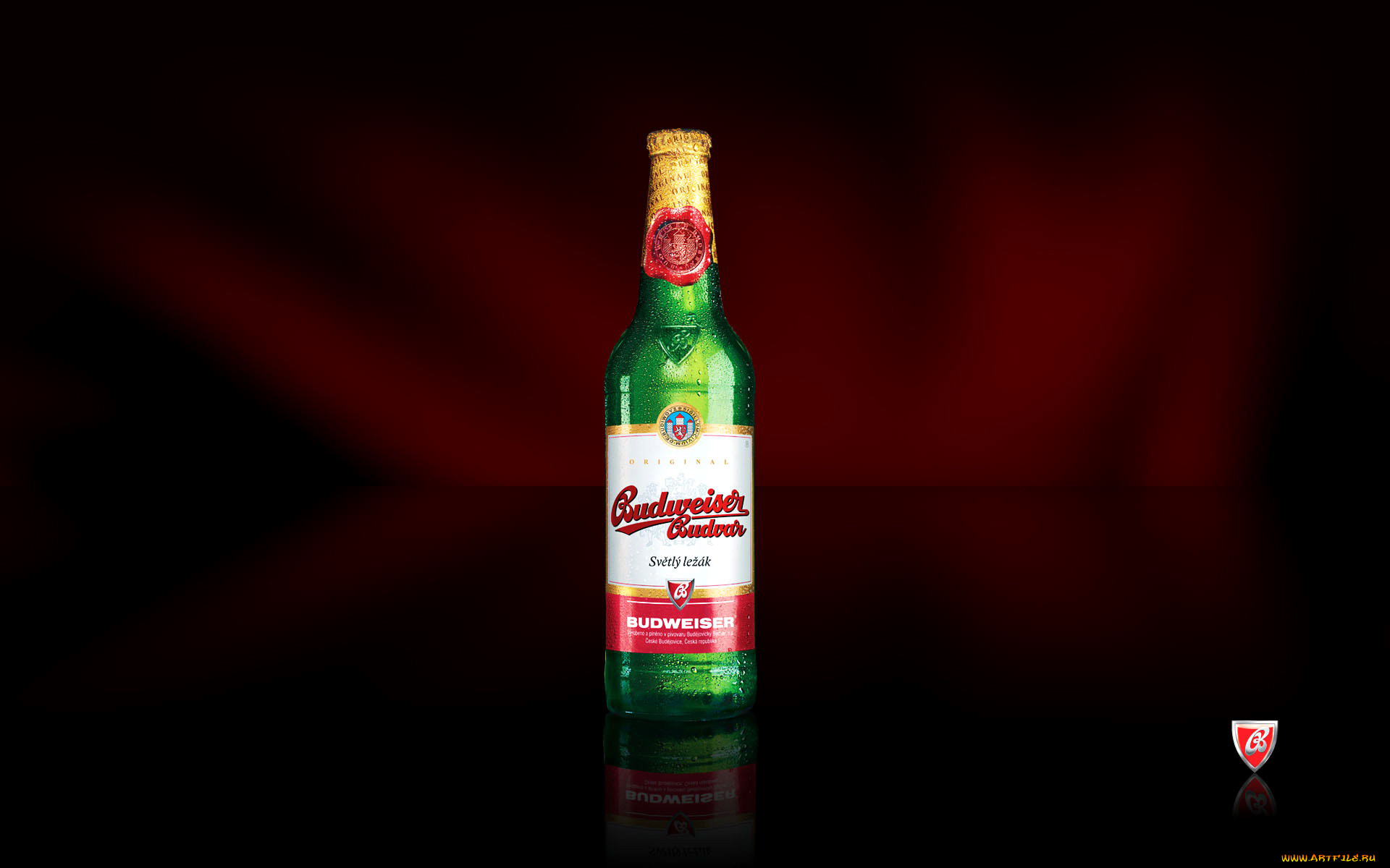, budweiser, 